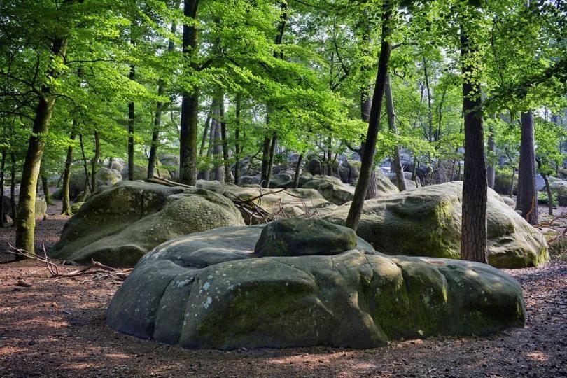 Maison De Charme En Foret De Fontainebleau Recloses Exteriér fotografie
